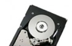Жесткий диск IBM 300 GB 39R7356 картинка из объявления