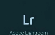 Подписка (электронно) Adobe Lightroom w Classic for enterprise 1 User Level 4 100+, 12 Мес. картинка из объявления