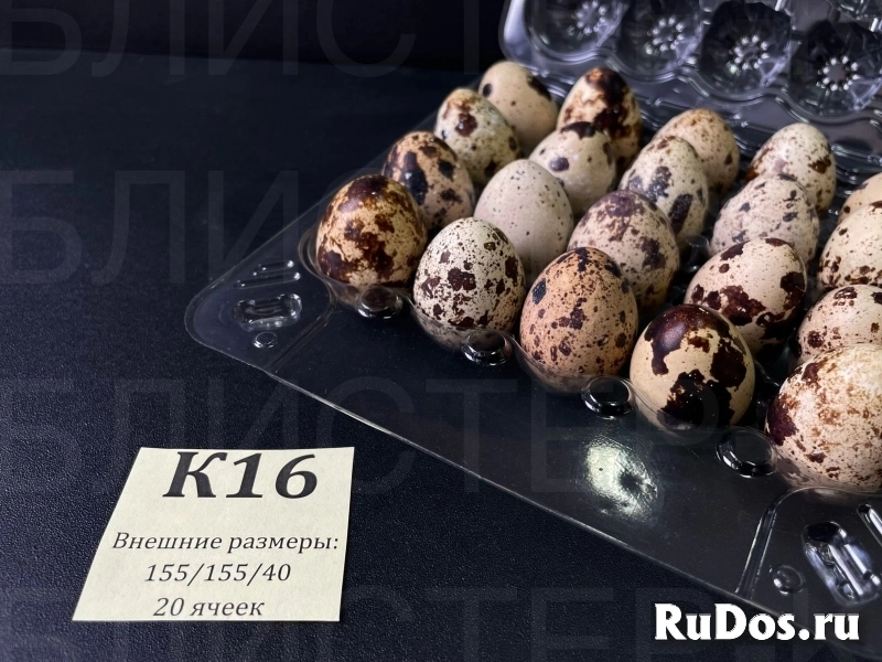 КОРРЕКС (УПАКОВКА) ПОД ПЕРЕПЕЛИНОЕ ЯЙЦО с 20-ю ячейками. изображение 6