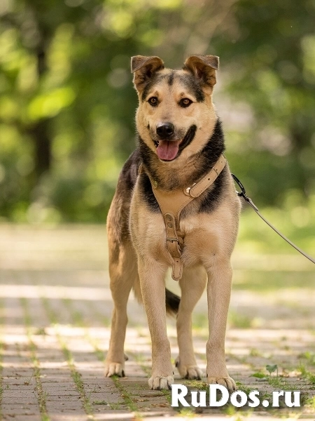 Барри ищет своего человека! фото
