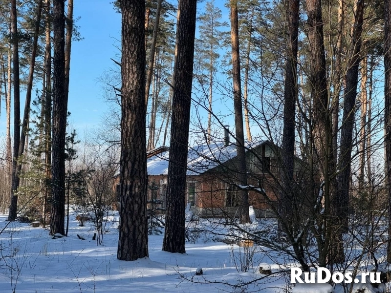 Продам коммерческую недвижимость 10148.2 м2 изображение 5