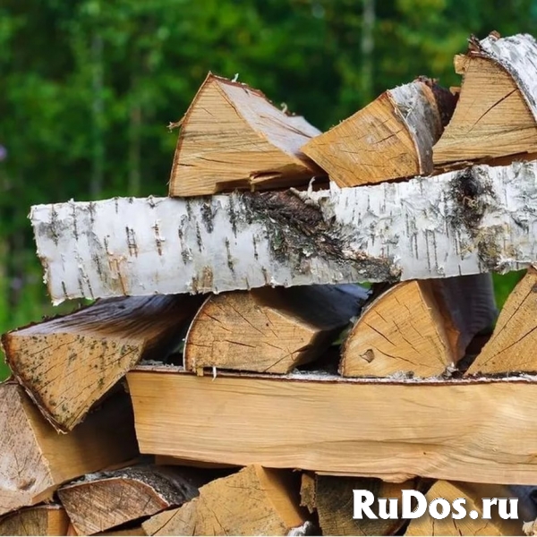 Берёзовые дрова в Дубне Дмитрове Талдоме фото