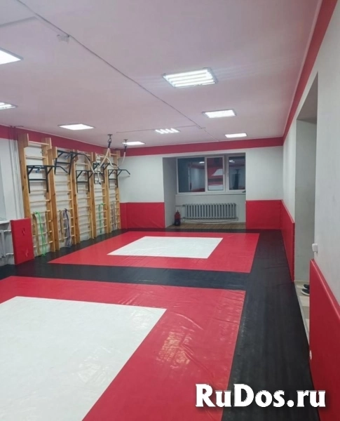 Смешанные Единоборства фото