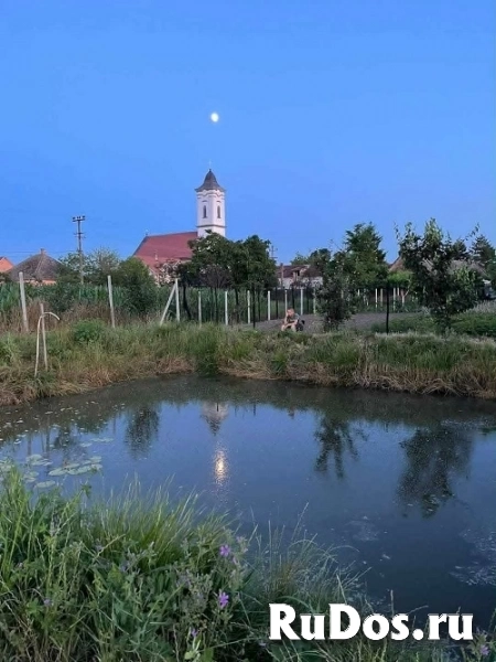 Дом в Дече, Сербия изображение 12