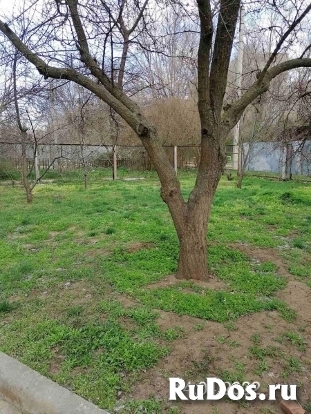 Продам 4 комнатную квартиру 190.15 м2 изображение 8