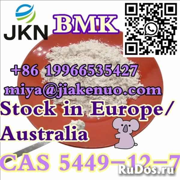 CAS 5449-12-7 Новая глицидовая кислота BMK (натриевая соль) фотка