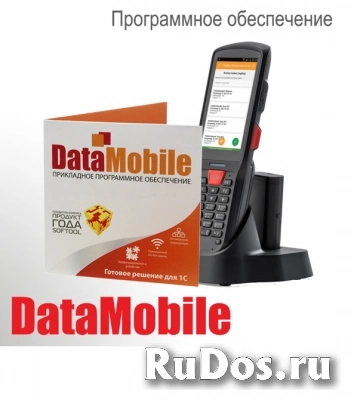 Программное обеспечение DataMobile Online Lite фото