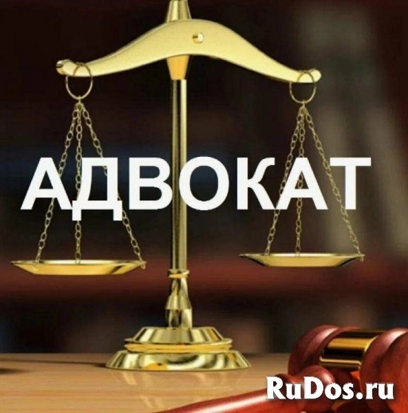 Адвокат Жаворонкова Карина Игоревна. фото