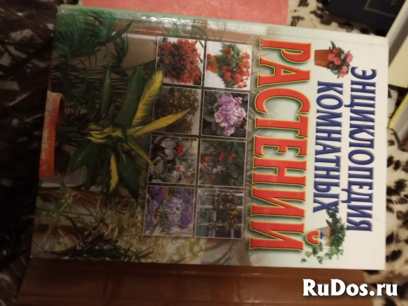 Продам книгу Энциклопедия комнатных растений фото
