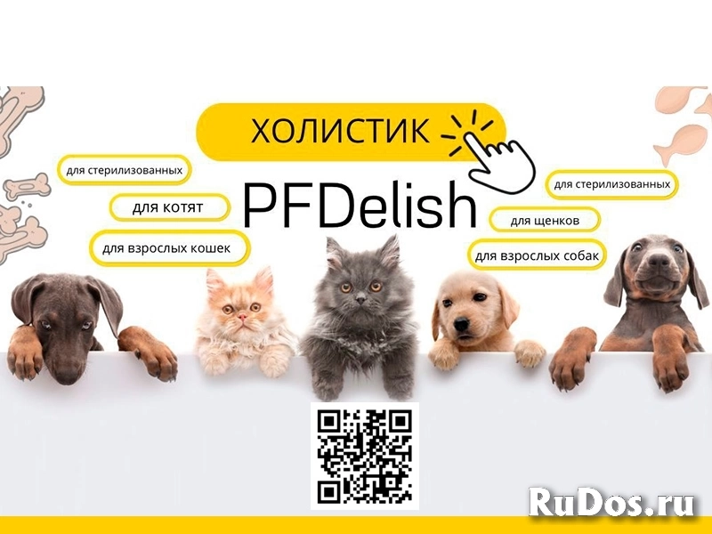 Холистик корма для собак и кошек ТМ PFDelish фото