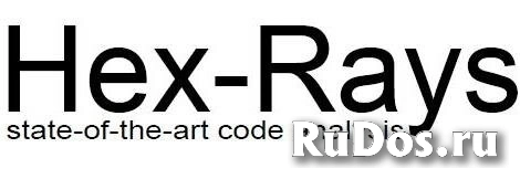 Hex Rays IDA Starter for Linux Компьютерная лицензия фото