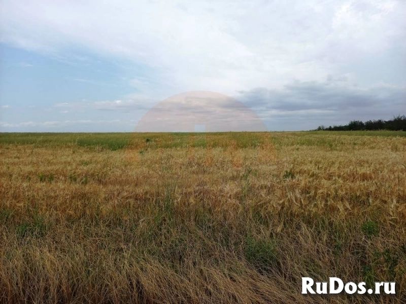 Продам участок 495 сот. фотка