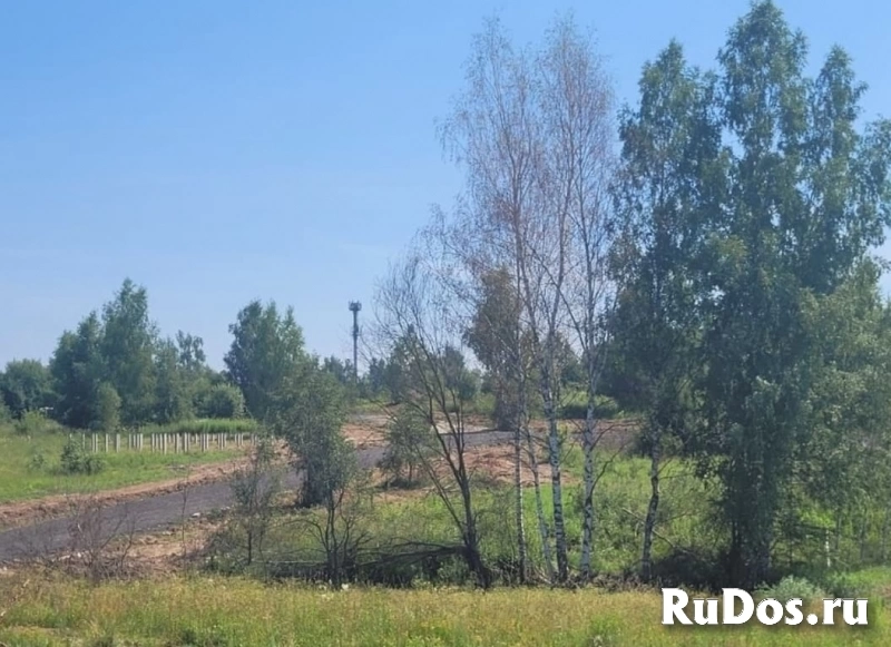 Участок 10 сот в Муракино Участок 10 сот в Муракино фото
