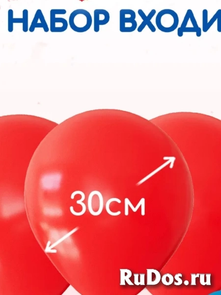 Воздушные шары набор для праздника 25шт ШариЛенд фотка