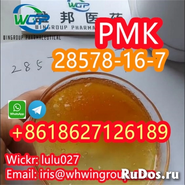 Hot Selling High Purity PMK Powder/Oil CAS 28578-16-7 in Stock фото