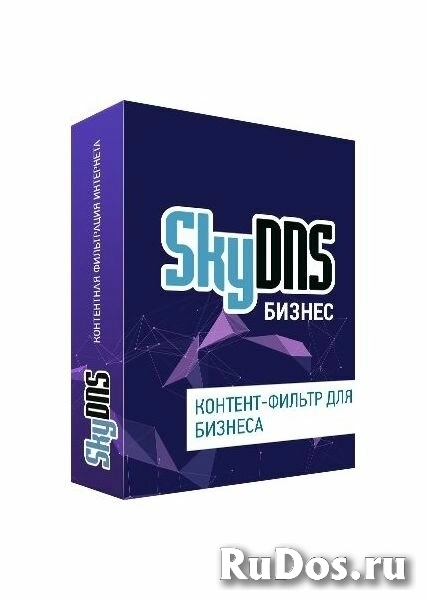 Интернет-фильтр SkyDNS Бизнес 150 лицензий на 1 год [SKY_Bsn_150] (электронный ключ) фото