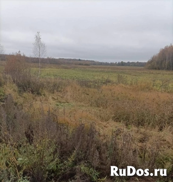 Продам коммерческую недвижимость 5170 сот изображение 4