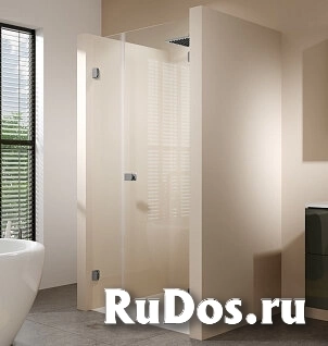 Душевая дверь в нишу Riho Scandic Soft Q102 90 см, R фото