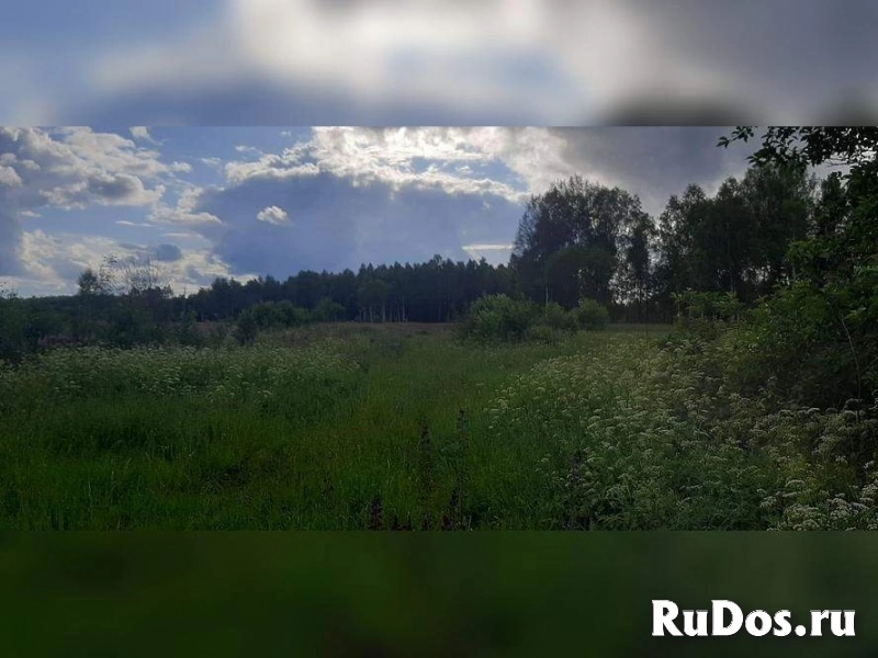 Продам участок 2400 сот. изображение 6