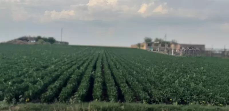 Продается производственная база, 2.5 га изображение 9