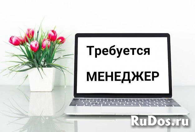 Менеджер удаленная работа фото