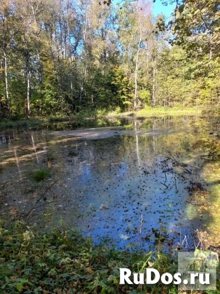 Продам коммерческую недвижимость 100 сот изображение 3