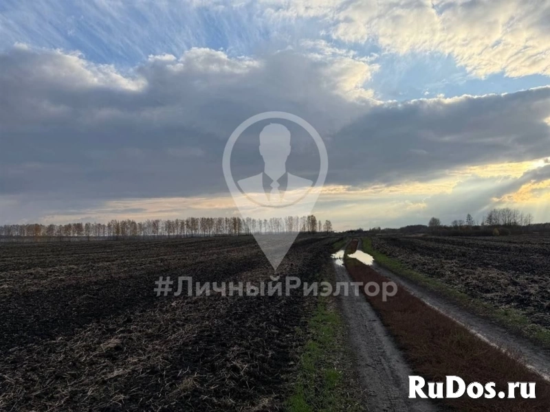 Продам участок 2341 сот. картинка Продам участок 2341 сот. изображение 5