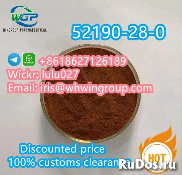 Hot Selling Brown Powder CAS 52190-28-0 in Stock фото