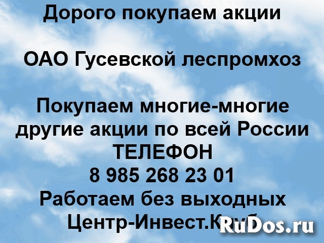 Покупаем акции ОАО Гусевской леспромхоз и любые другие акции фото