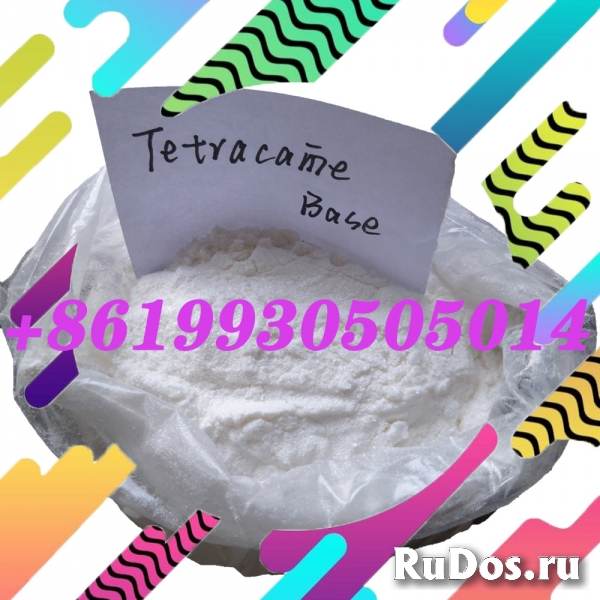 Tetracaine manufacturer CAS 94-24-6 Tetracaine hcl / base фото