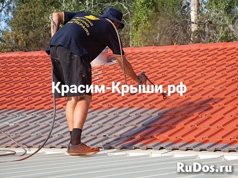 Покраска крыши дома в Бронницах изображение 4