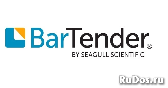 Seagull Scientific BarTender Professional Application License 1 Printer фото