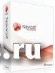 PremiumSoft Navicat for Oracle (Windows) Enterprise ESD 1 User License Арт. фото
