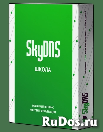 SkyDNS Школа. 90 лицензий на 1 год фото