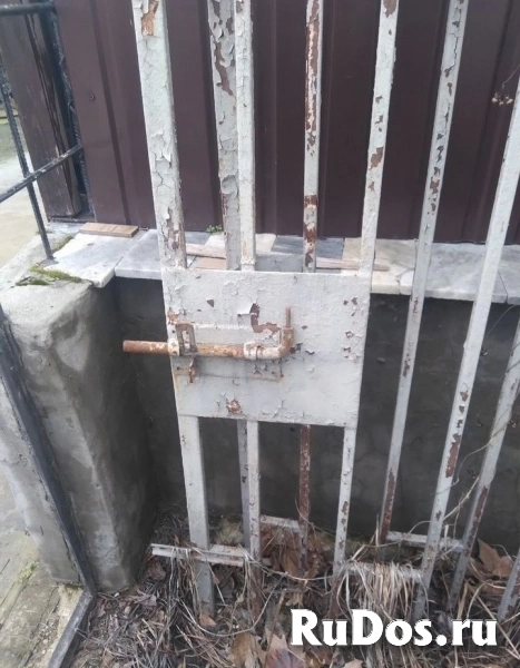Ворота распашные изображение 4