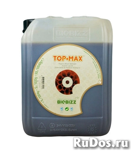 Стимулятор цветения TopMax 5 л фото