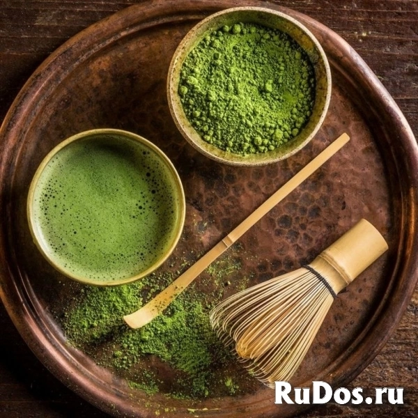 , купить растения , купить растения фото