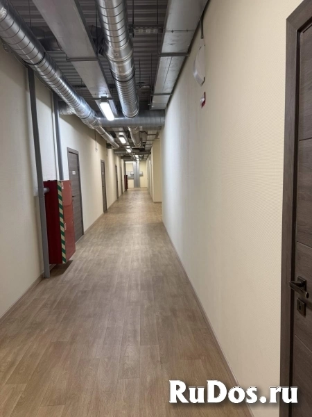 Сдам коммерческую недвижимость 241 м2 фотка