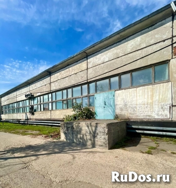 Сдам коммерческую недвижимость 182.1 м2 изображение 5