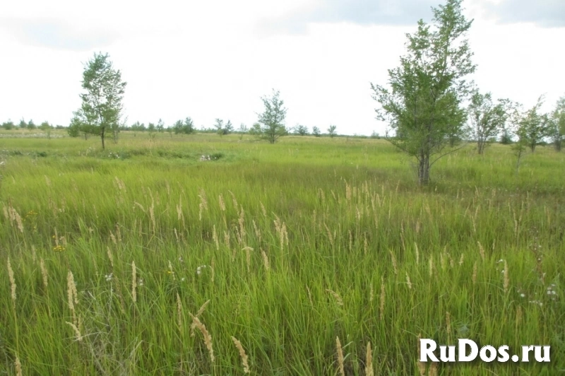 Продам коммерческую недвижимость 4500 сот изображение 5