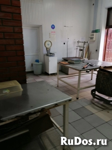 Сдам коммерческую недвижимость 134 м2 картинка 9 Сдам коммерческую недвижимость 134 м2 изображение 9