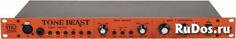 Микрофонный предусилитель Warm Audio TB12 Tone Beast фото