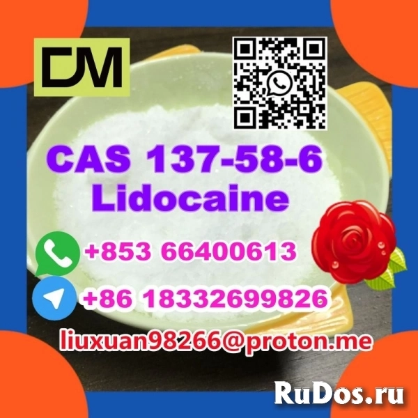 Manufacturer Supply Raw Material CAS 137-58-6 Lidocaine изображение 6