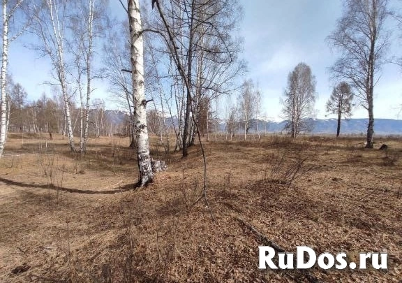 Продам коммерческую недвижимость 973 сот изображение 3