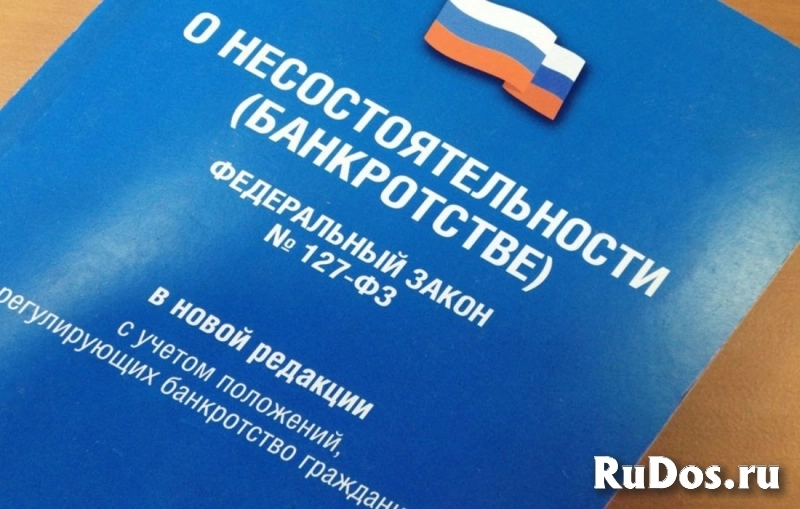 Задолжали банкам, МФО или людям? Законно освободим от долгов! фото