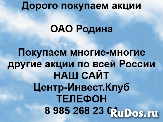 Покупаем акции ОАО Родина и любые другие акции по всей России фото