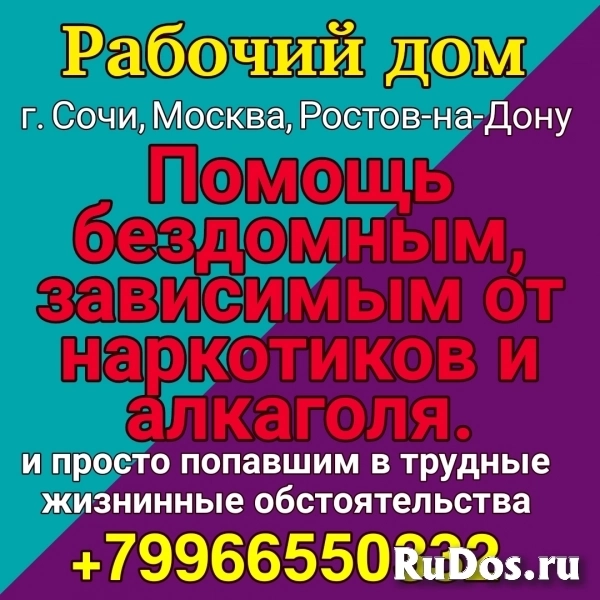 Найдутся ли у вас какие нибудь излишки для наших подопечных? фото