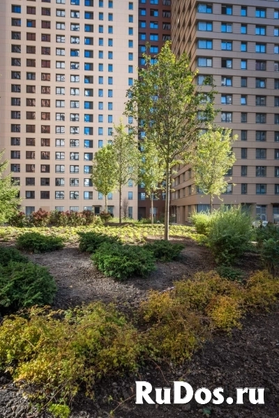 Продам коммерческую недвижимость 6.9 м2 изображение 6