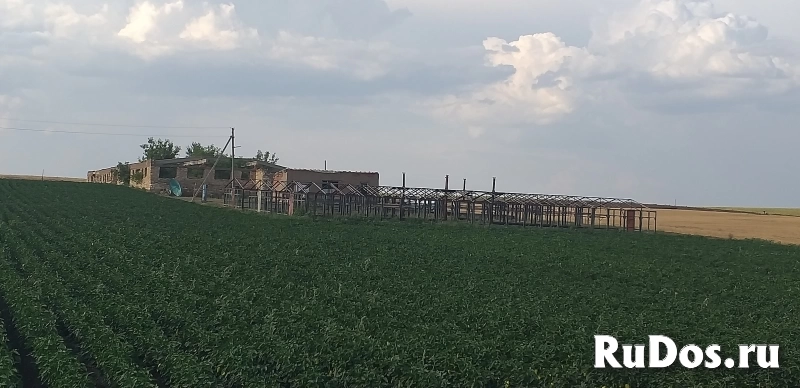 Продается производственная база фото