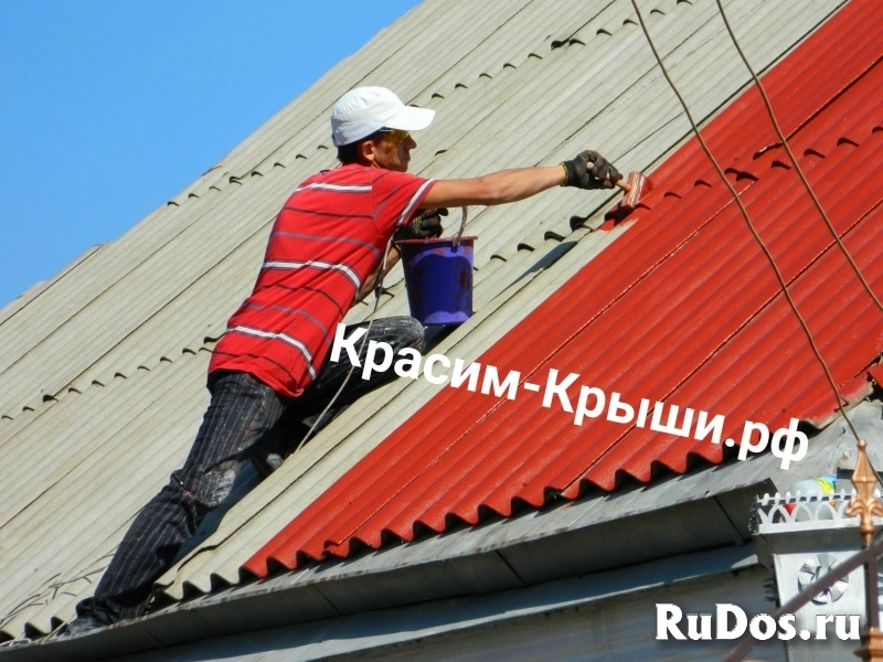 Покраска крыши дома в Люберцах изображение 4